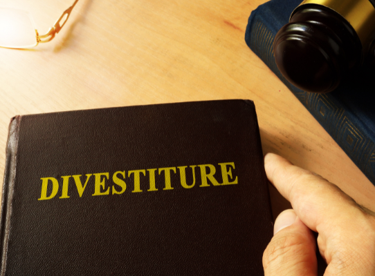 Small Business Loans and National Economic Development